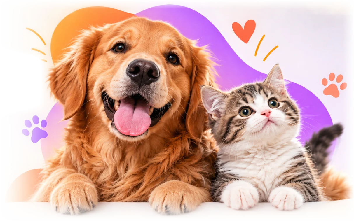 Mutlu bir golden retriever ve yavru kedi yan yana