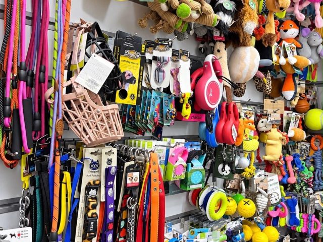 Tasma, gezdirme kayışı ve köpek oyuncakları